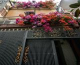 GIÁP Q3, LÊ VĂN SỸ PHÚ NHUẬN, DT 40M2 X 3 TẦNG, SỔ VUÔNG, GẦN MẶT TIỀN, 3PN, 5.75 TỶ TL