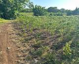 ► Dt: 9 xào 9 giá công khai 3,5 tỷ