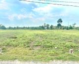 290TR_ĐẤT FULL THỔ CƯ TRUÔNG MÍT,TÂY NINH 5x33M SÁT NHỰA THÔNG