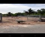 Bán đất mặt tiền đường giồng sắn gần đường hùng vương