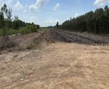 🌿 CHÍNH CHỦ GỬI BÁN ĐẤT MẶT TIỀN QL62 🌿 📐 Diện tích: 26.000m² (có 960m² thổ cư)