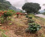 ► CHÍNH CHỦ BÁN ĐẤT SIÊU ĐẸP – QUANG TRUNG, TP. HÀ GIANG