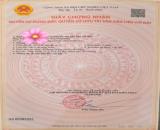 Bán đất Đoàn Xá - Kiến Thụy - Hải Phòng