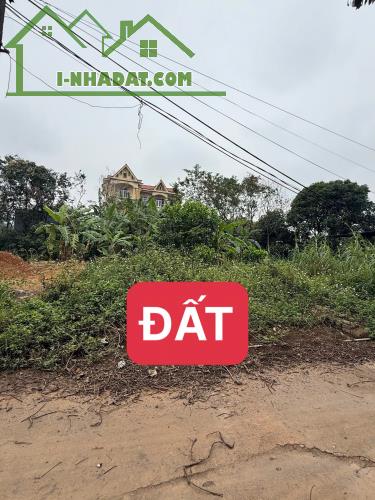 BÁN ĐẤT ĐẸP-ĐỒNG THANH-HỒ SƠN-TAM ĐẢO 170,9m MT6m SẴN SỔ SANG TÊN giá chỉ 7xx triệu - 4