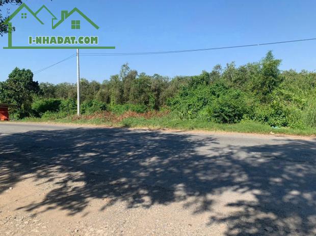 Bán đất mặt tiền quốc lộ N2 ,Thạnh Lợi ,Bến Lức tdt 22,870m2 ( đất rừng sản xuất ) 34 tỷ - 4