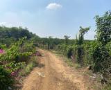 Bán đất Đường dọc Sông Ray, Xuân Đông, Cẩm Mỹ, Đồng Nai