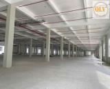 Cho thuê nhà xưởng KCN Bàu Bàng, Bình Dương 52.815m2