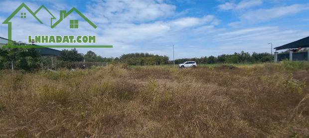 ĐẤT ĐẸP – GIÁ TỐT  – CHÍNH CHỦ CẦN BÁN 2 Lô Đất Tại Ấp Thạnh An, Xã Thạnh Bình, Huyện Tân