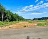 THUA LỖ NÊN SANG GẤP 4210M2 ĐẤT MT 12 NGAY CHỢ, KCN CÔNG NHÂN ĐÔNG TIỆN XÂY TRỌ GIÁ 160TR