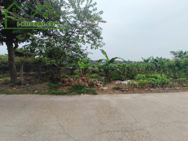 Bán đất nền dự án tại Xã Thanh Đình, 2,85 tỷ, 200 m2, giá siêu hời - 2