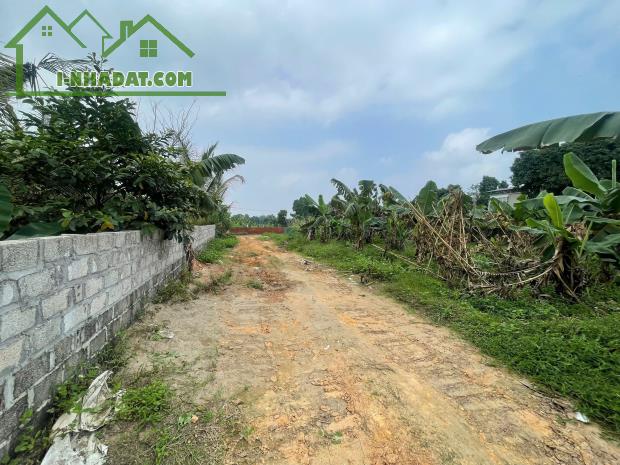 Bán gấp lô đất Kim Long, Tam Dương sát KCN Tam Dương 3, dt100m mt5m sẵn sổ giá 6xx triệu - 2