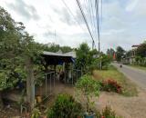 Cần bán gấp đất TP HCM (Phú Giáo, Bình Dương), 1400m2, thổ cư 200m2, 980tr