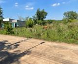 Cần bán gấp đất TP. HCM (Phú Giáo, Bình Dương) 1000m2