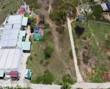 🌿🌿🌿Hot hot hot !!! Siêu phẩm hàm thắng  💯 Em cần bán hơn 1000m2 Thổ cư Hàm Thắng Hàm T