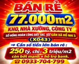 BÁN RẺ 77.000m2 KHO, NHÀ XƯỞNG, CÔNG TY SỔ HỒNG HOÀN CÔNG ĐẤT SKC GẦN XÃ HỐ NAI 3 (X043)