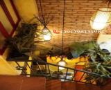 ♥️♥️♥️SHR P.Chợ Lớn Sang Tên Ngay Bán Nhanh Mặt Tiền Quận 5.♥️♥️♥️