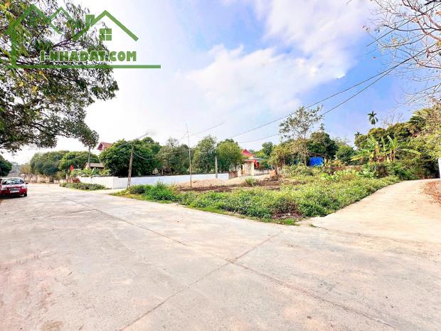 Bán gấp lô đất trục chính kinh doanh Thanh Vân, Tam Dương 99,1m MT5M sẵn sổ giá 1.57 tỷ - 1
