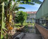 🏘️Đất Trường Thọ HXH - 📏DT 185m2 - 💰Chỉ 9.5 tỷ 👉Giá tốt - ngang 8.5m- gần đường lớn