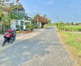 Bán 1233m² Lúa, MT đường Đăng Mỹ (nhựa 9m) Giá 2,4 tỷ - xã Tân Bình, Tân Trụ, LA