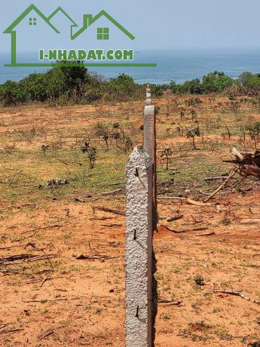 BÁN 4 LÔ ĐẤT LIỀN KỀ – GIÁ CHỈ 1 TRIỆU/M² – CƠ HỘI ĐẦU TƯ HẤP DẪN - 2