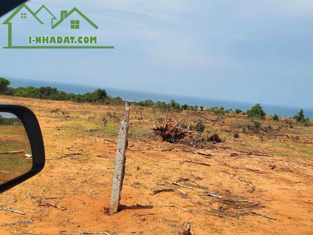 BÁN 4 LÔ ĐẤT LIỀN KỀ – GIÁ CHỈ 1 TRIỆU/M² – CƠ HỘI ĐẦU TƯ HẤP DẪN - 3