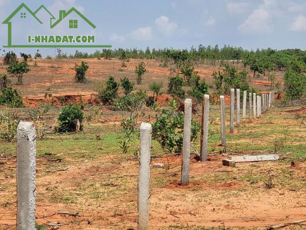 BÁN 4 LÔ ĐẤT LIỀN KỀ – GIÁ CHỈ 1 TRIỆU/M² – CƠ HỘI ĐẦU TƯ HẤP DẪN - 4