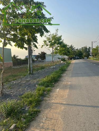 BÁN ĐẤT MẶT TIỀN KINH DOANH CẠNH CẦU BẠCH ĐẰNG 2 – ĐƯỜNG NHỰA 15M - 3