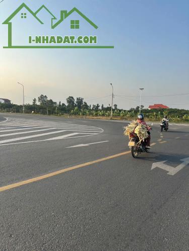 BÁN ĐẤT MẶT TIỀN KINH DOANH CẠNH CẦU BẠCH ĐẰNG 2 – ĐƯỜNG NHỰA 15M - 4