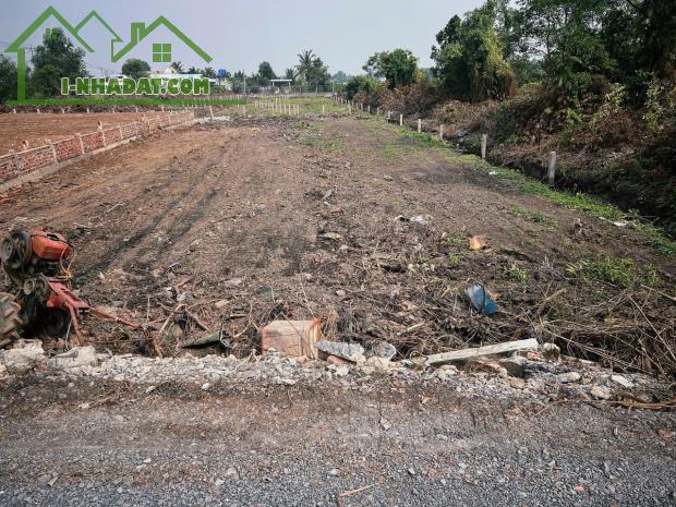 Bán đất 2 mặt tiền ĐT 816 xã Thạnh Hòa , Bến Lức dt 1351m2 đất vườn giá 2,8 tỷ - 1