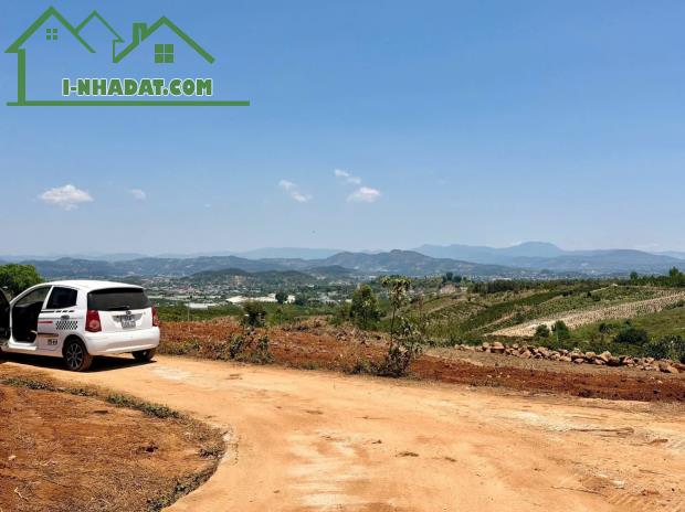 Bán Đất 1000 m2 Lâm Hà, Lâm Đồng Giá Chỉ 699tr - 1