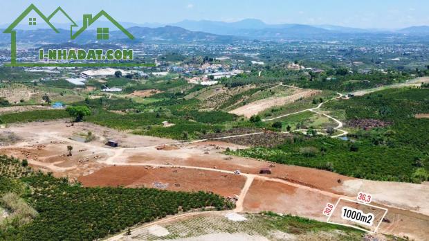 Bán Đất 1000 m2 Lâm Hà, Lâm Đồng Giá Chỉ 699tr - 2