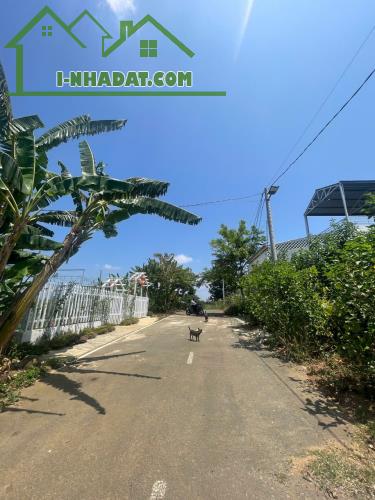 Cần bán đất 120 m² tại Bảo Lộc – Gần QL20, giá từ 200 triệu, sổ riêng - 2