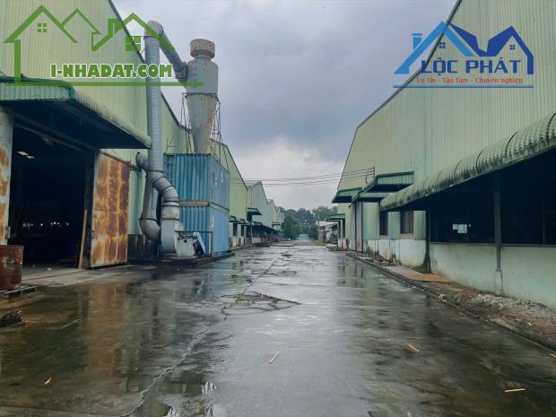 X519 Cần chuyển nhượng GẤP công ty sản xuất gỗ 75.000 m2, 250 tỷ full SKC tại Hố Nai3 - 2