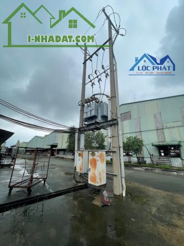 X519 Cần chuyển nhượng GẤP công ty sản xuất gỗ 75.000 m2, 250 tỷ full SKC tại Hố Nai3 - 3