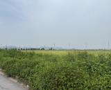 CHUYỂN NHƯỢNG 20.000m² ĐẤT KHU CN QUANG CHÂU – BẮC NINH