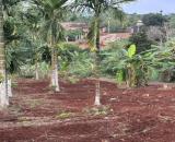 ĐẤT ĐẸP – GIÁ TỐT  – CHÍNH CHỦ CẦN BÁN 3 Lô Liền Kề Tại Phú Xuân - Krông Năng - Đắk Lắk