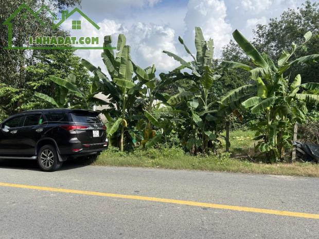 Bán Đất full thổ cư gần safari tại mặt tiền đường An Nhơn Tây rộng 12m ngộp ngân hàng nên