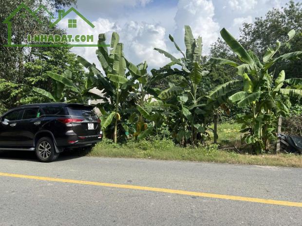 Bán Đất full thổ cư gần safari tại mặt tiền đường An Nhơn Tây rộng 12m ngộp ngân hàng nên - 4