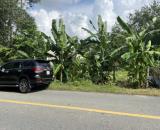 Bán Đất full thổ cư gần safari tại mặt tiền đường An Nhơn Tây rộng 12m ngộp ngân hàng nên