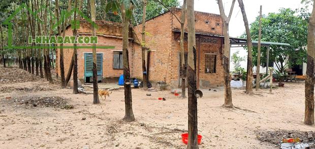 BÁN NHÀ & ĐẤT GẦN TỈNH LỘ 15 – AN NHƠN TÂY, TP.HCM