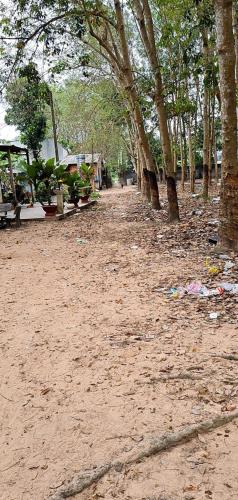 BÁN NHÀ & ĐẤT GẦN TỈNH LỘ 15 – AN NHƠN TÂY, TP.HCM - 3