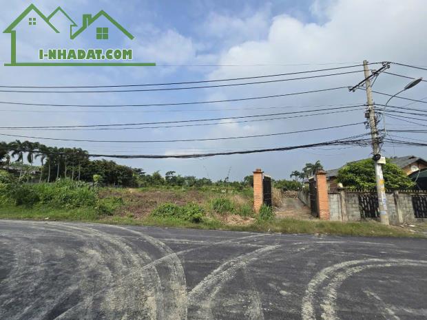 BÁN ĐẤT MẶT TIỀN ĐƯỜNG TRUNG AN – BÌNH MỸ, TP.HCM - 1