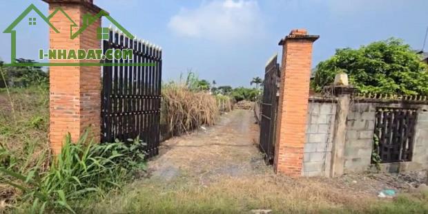 BÁN ĐẤT MẶT TIỀN ĐƯỜNG TRUNG AN – BÌNH MỸ, TP.HCM - 3