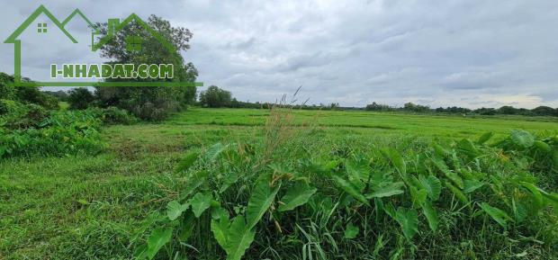 BÁN ĐẤT VIEW SÔNG – VỊ TRÍ ĐẸP TẠI CỦ CHI - 4