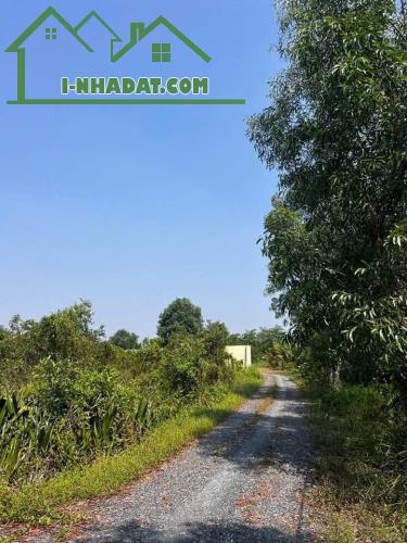 SIÊU QUỸ ĐẤT GÓC 2 MẶT TIỀN NGUYỄN THỊ LÈN – NGANG 115M KHỦNG - 2