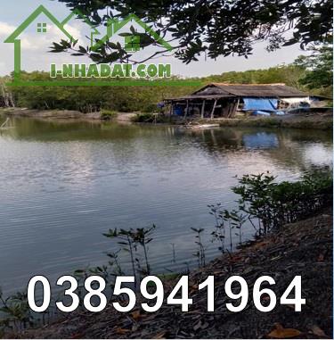 ⭐️Bán 61 mẫu đầm nuôi tôm tại xã Thạnh An (Cần Giờ), TP.HCM, 0385941964