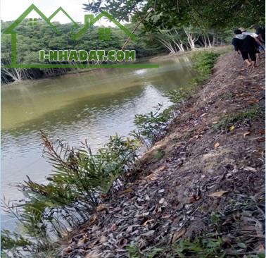 ⭐️Bán 61 mẫu đầm nuôi tôm tại xã Thạnh An (Cần Giờ), TP.HCM, 0385941964 - 3