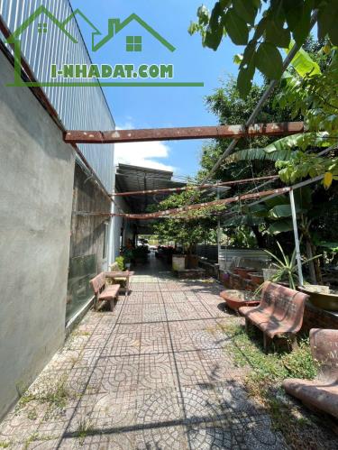 ĐẤT ĐẸP – GIÁ TỐT  – CHÍNH CHỦ CẦN BÁN GẤP ĐẤT Tại Phường 1, Thành phố Cà Mau, Cà Mau - 3