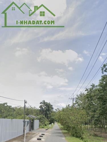 Bán đất MT đường Phạm Thị Quới, Phú Mỹ Hưng, Củ Chi, DT: 20x51 có 95,6m² thổ cư