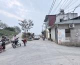 bán đất  đê tả sông Hồng Hoàng kim.
